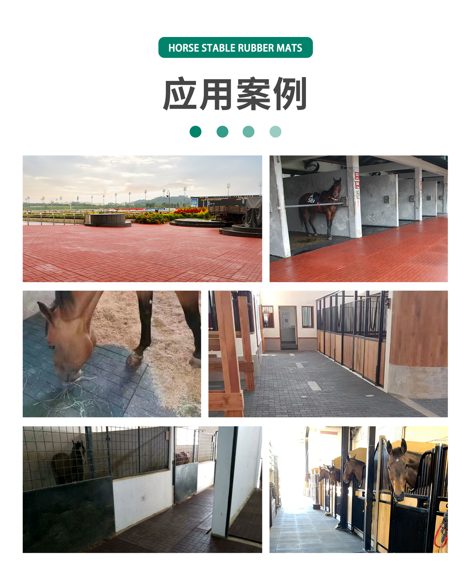 马场垫-应用