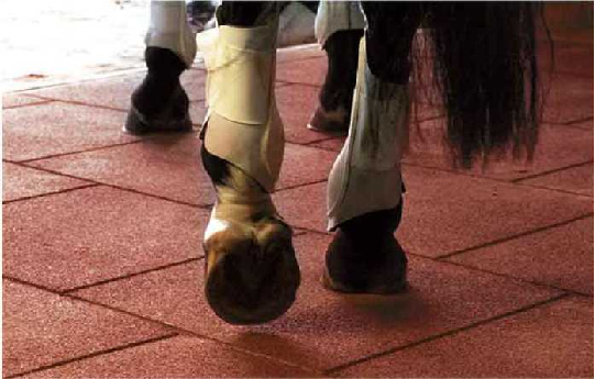 微信图片_20220909091920