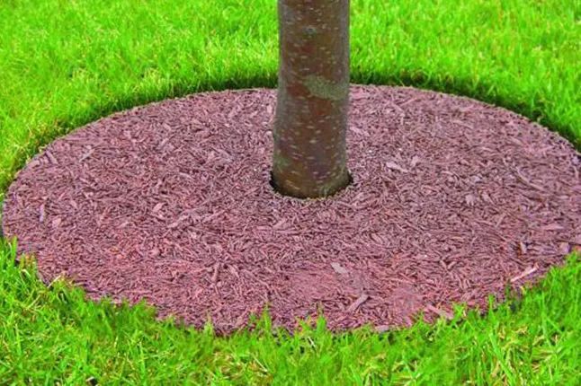 微信图片_20230131143148