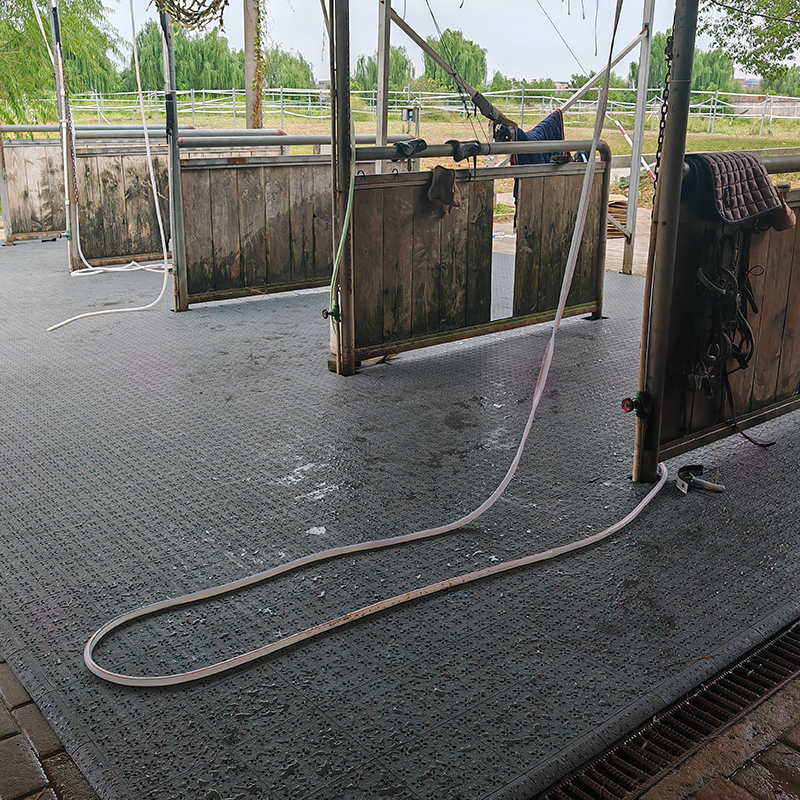 户外马术场洗马区域——洗马区拼装地板