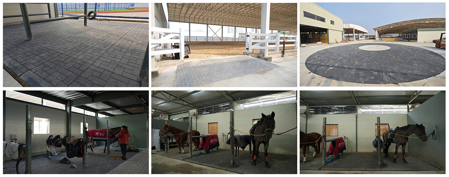 宁波马术俱乐部-1