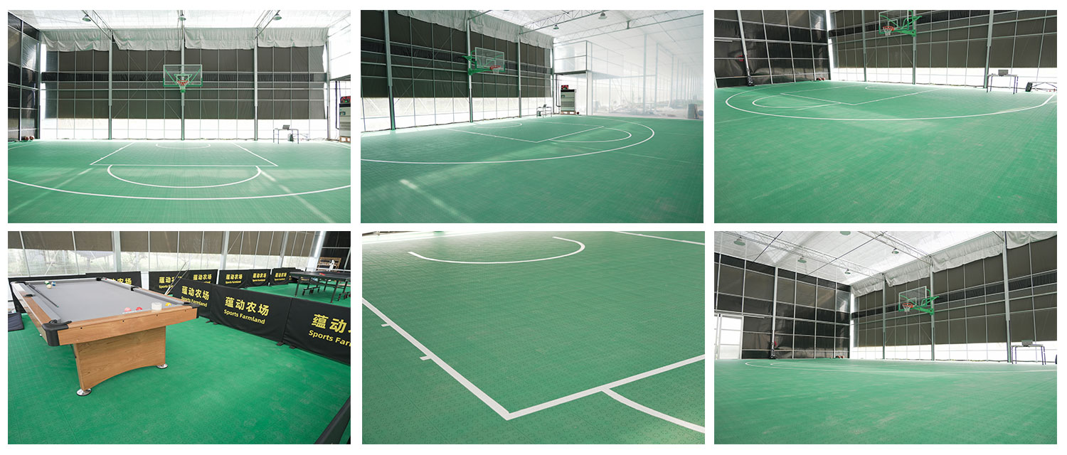 上海蔬果园-特Q88A-1