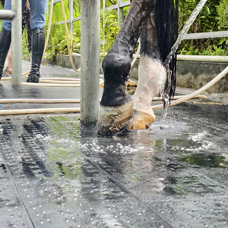 a809ffcfbae61cd0a1a5acd14cd93793